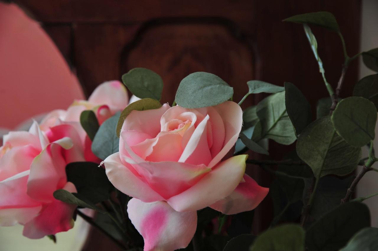 The Beauty Rooms Bnb 利物浦 外观 照片